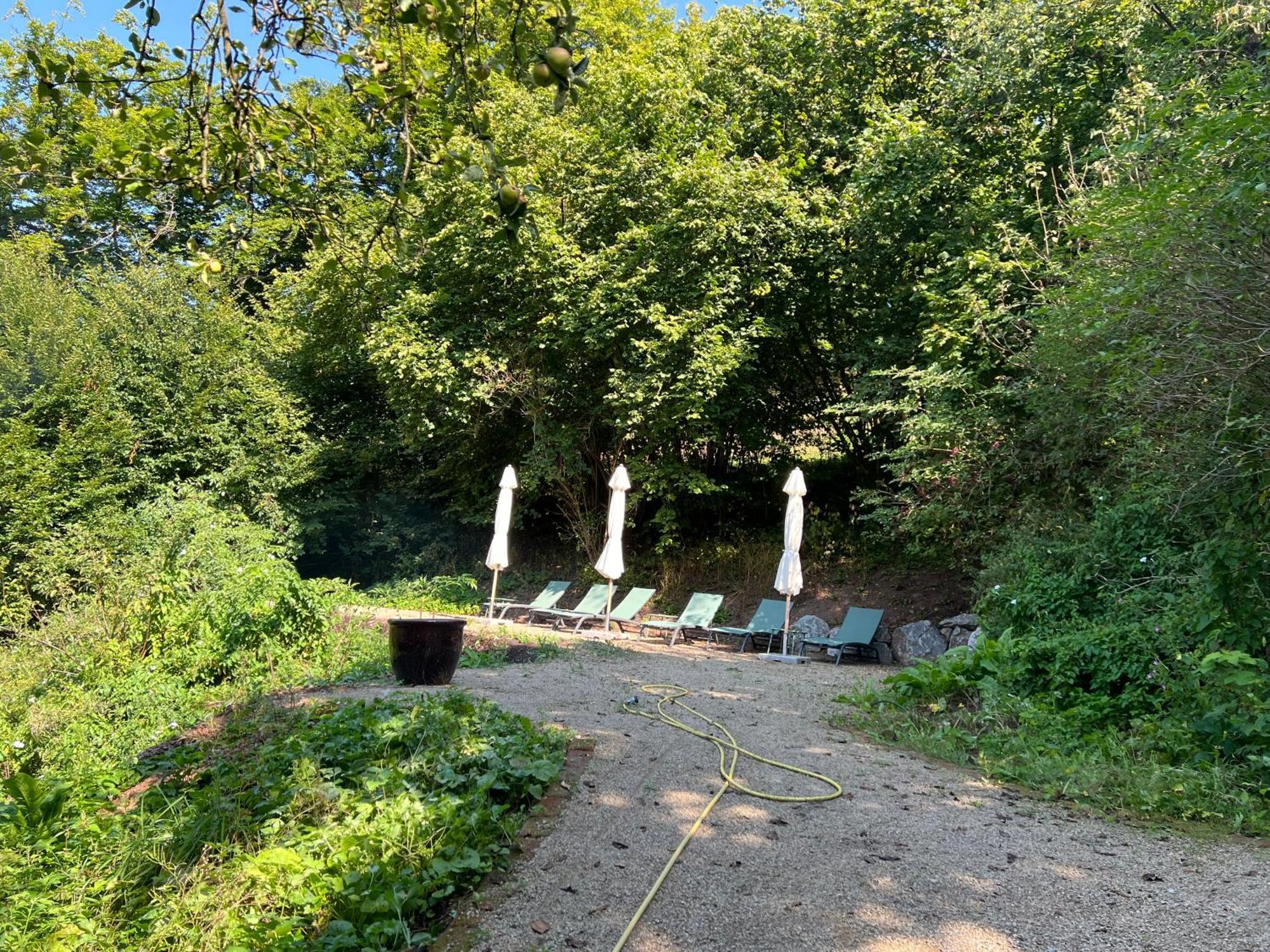 Waldseele Appartement Battenberg  Bagian luar foto